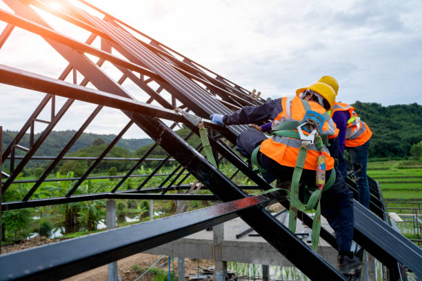 Best Metal Roofing Contractor  in Risg Sun, IN