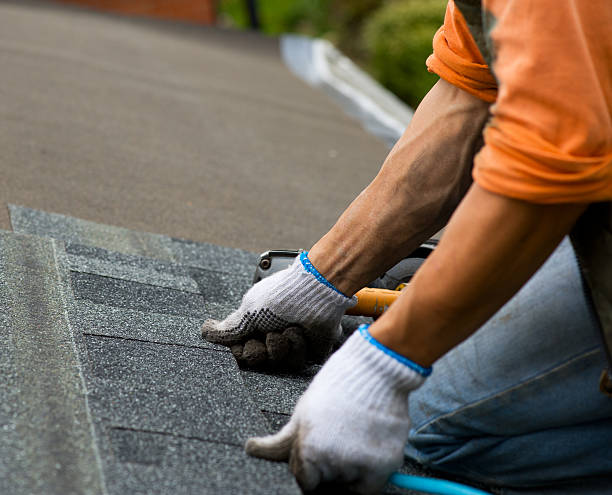 Best Storm Damage Roof Repair  in Risg Sun, IN